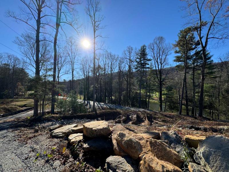Flat Rock Estate land - Image# 10