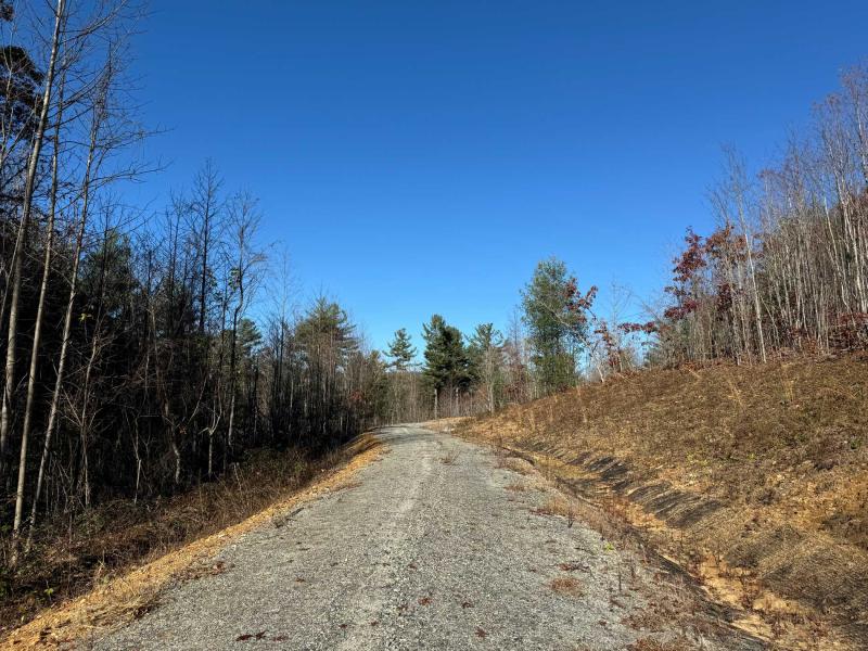 Flat Rock Estate land - Image# 17