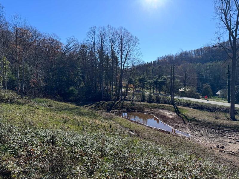 Flat Rock Estate land - Image# 19