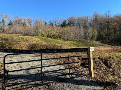 Flat Rock Estate land - Image# 2