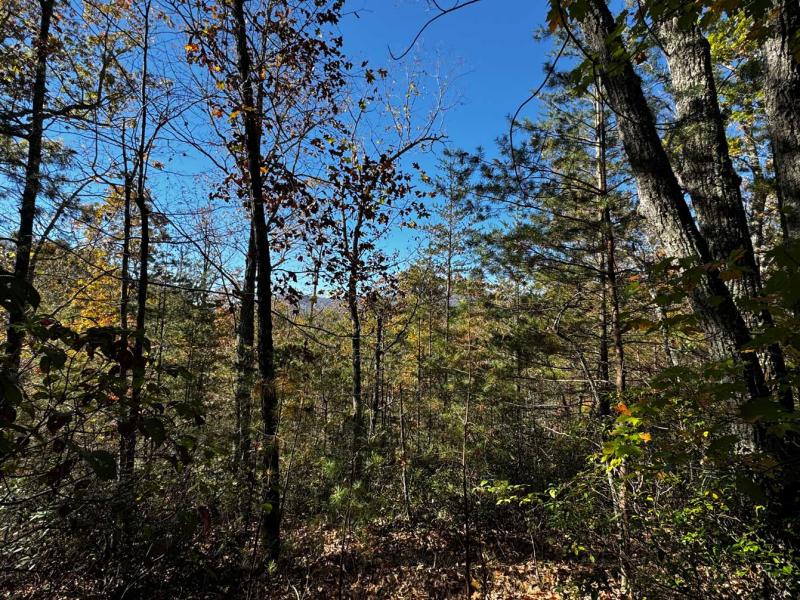 Peaks at Lake Lure Lot 44 - Image# 8