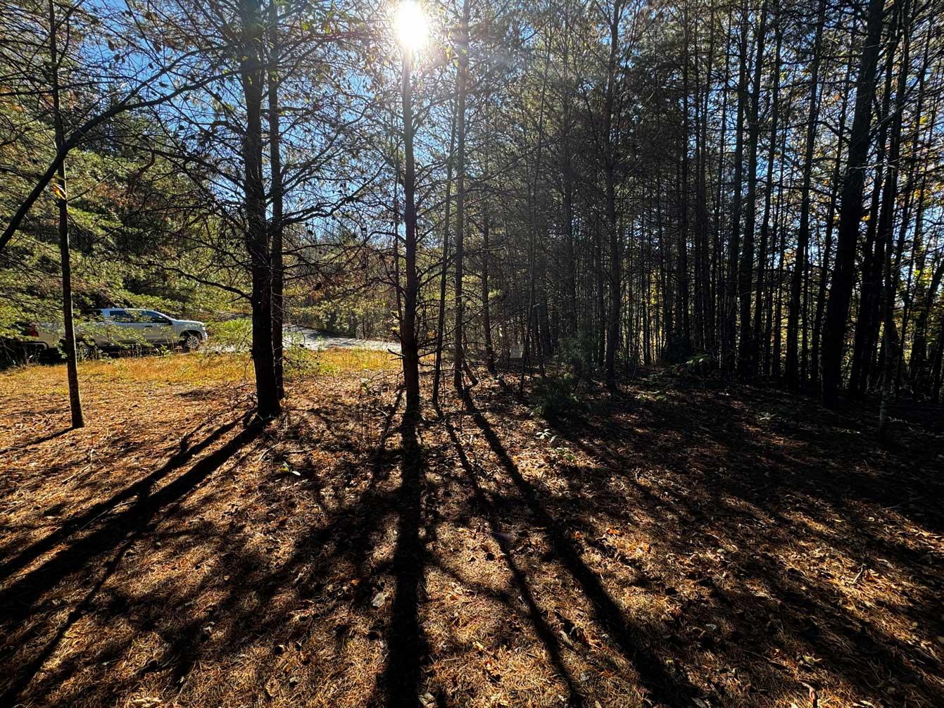 Peaks at Lake Lure Lot 44 - Image# 9