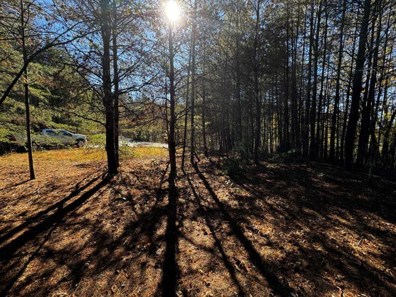 Peaks at Lake Lure Lot 44 - Image# 9