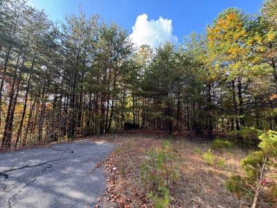 Peaks at Lake Lure Lot 44 - Image# 1