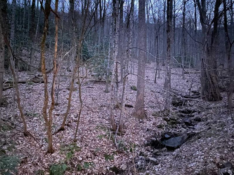 Laurel Ridge Lots - Image# 4
