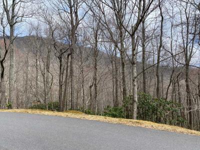 Laurel Ridge Lots