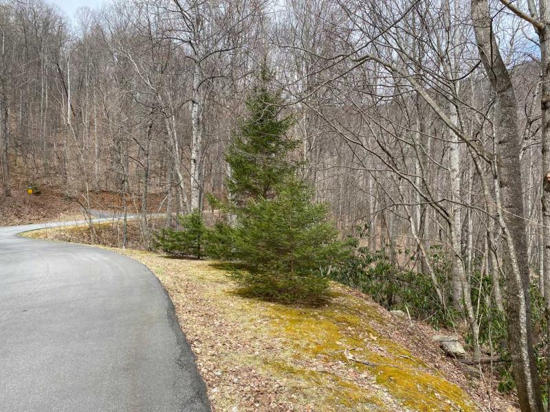 Laurel Ridge Lots - Image# 2