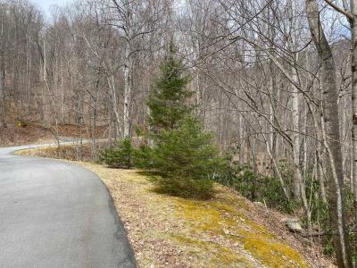 Laurel Ridge Lots - Image# 2