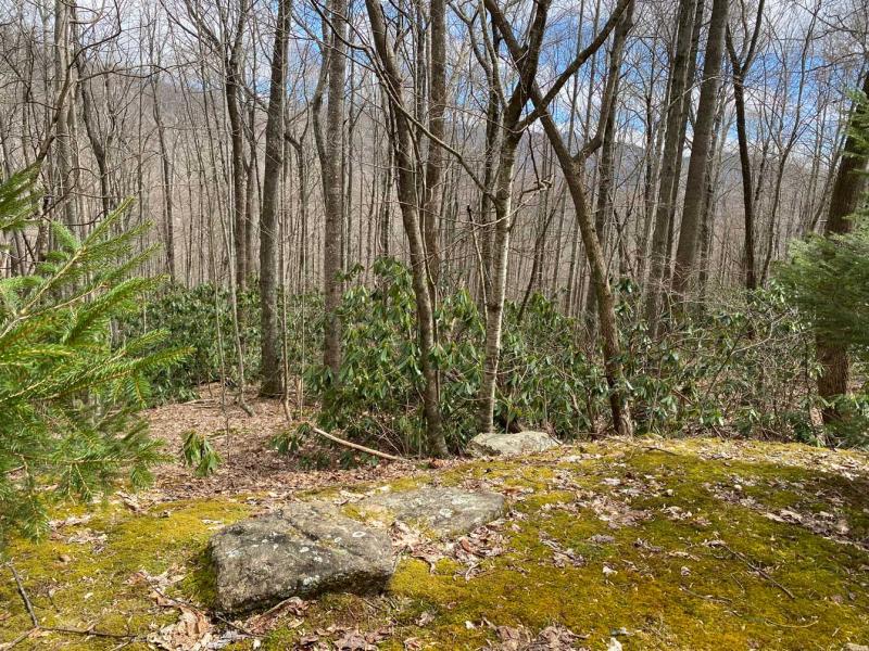Laurel Ridge Lots - Image# 13