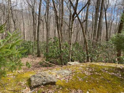 Laurel Ridge Lots - Image# 13